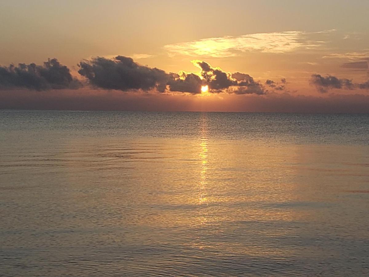 Pal'S On The Beach - Dangriga, Belize Exteriér fotografie