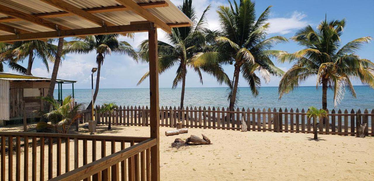 Pal'S On The Beach - Dangriga, Belize Exteriér fotografie