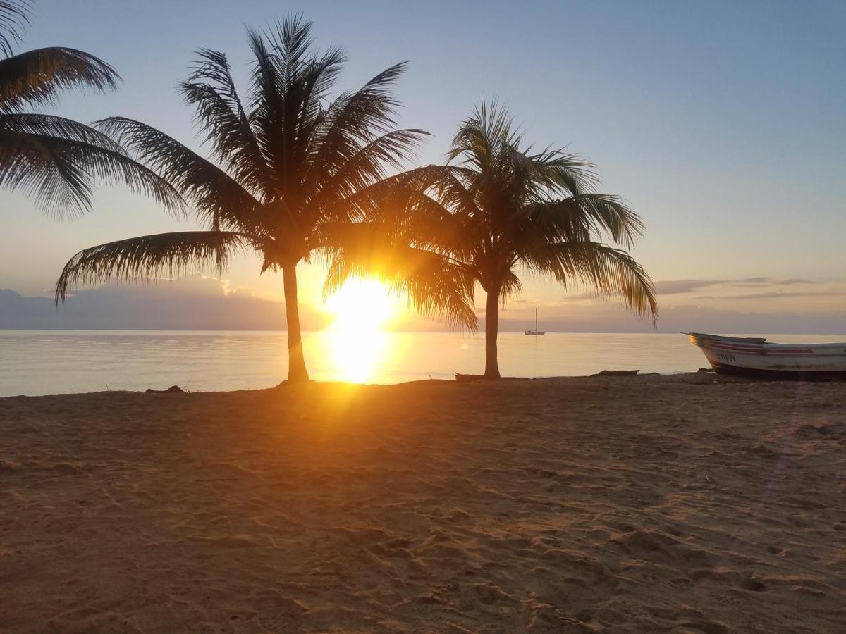 Pal'S On The Beach - Dangriga, Belize Exteriér fotografie