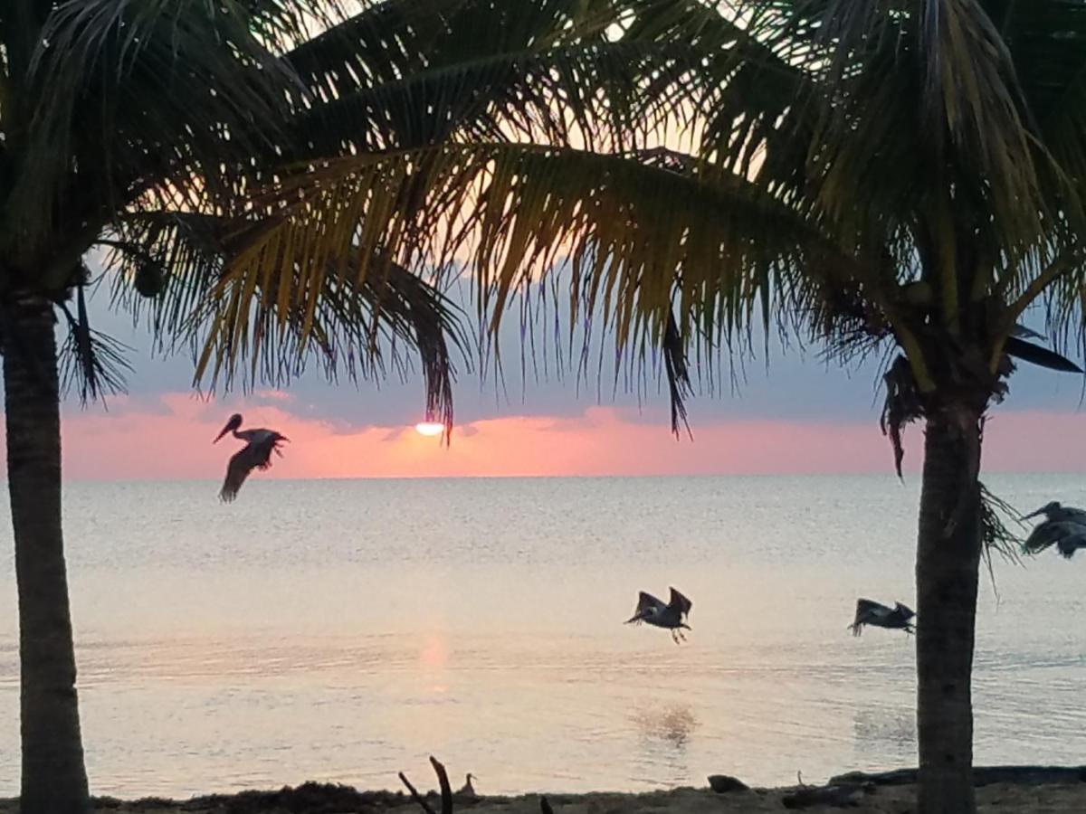Pal'S On The Beach - Dangriga, Belize Exteriér fotografie