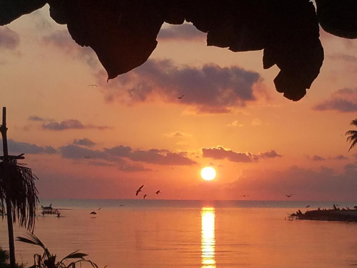 Pal'S On The Beach - Dangriga, Belize Exteriér fotografie