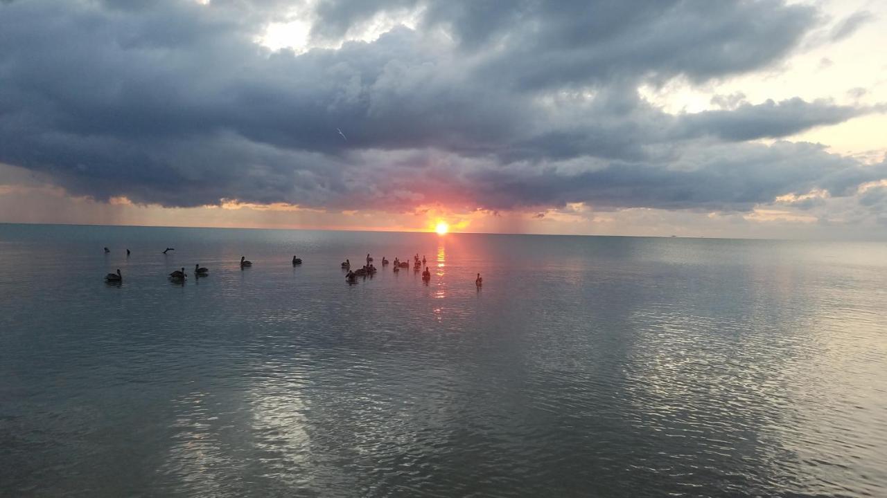 Pal'S On The Beach - Dangriga, Belize Exteriér fotografie