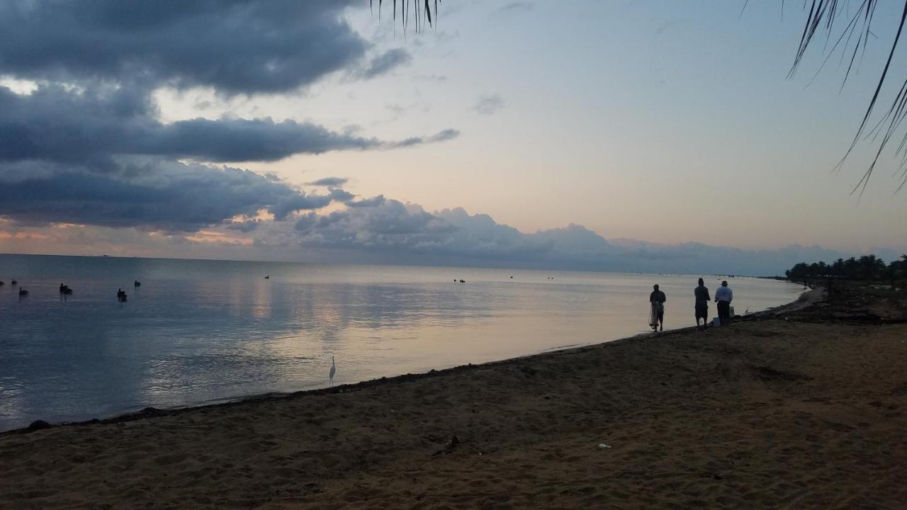 Pal'S On The Beach - Dangriga, Belize Exteriér fotografie