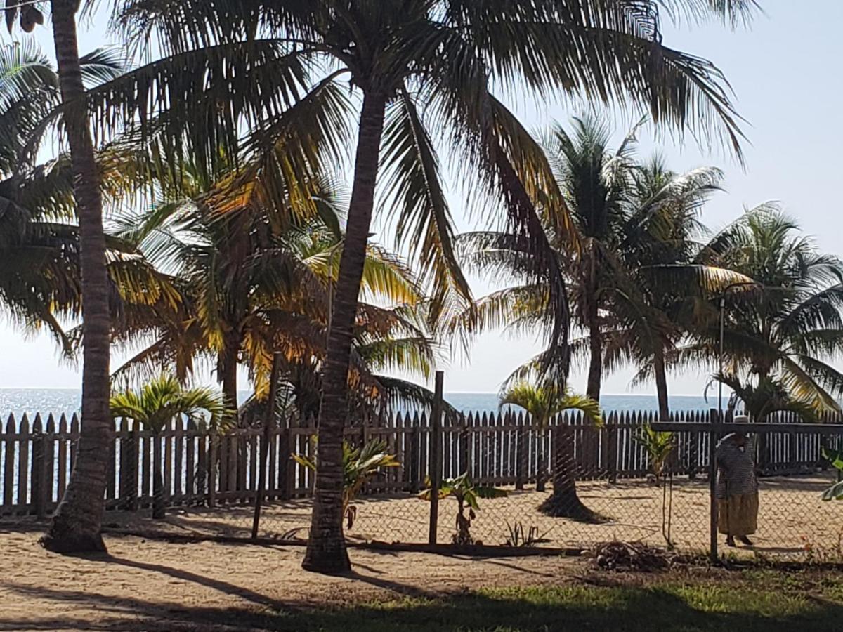 Pal'S On The Beach - Dangriga, Belize Exteriér fotografie